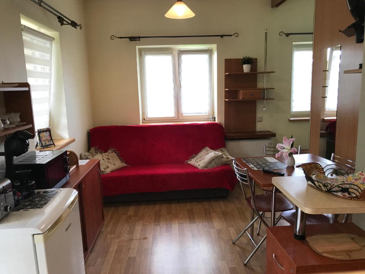 APARTAMENTY-STUDIO noclegi wczasy wakacje ferie - pobyty rodzinne Rabka Zewnętrze zdjęcie